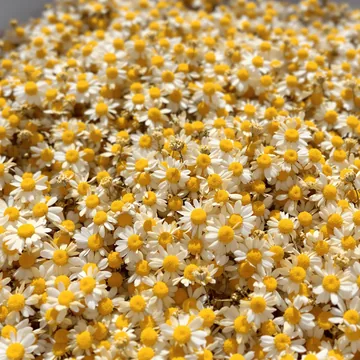 Flor de manzanilla: La flor de la manzanilla, seca.